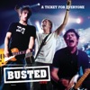 A Ticket For Everyone: Busted Live artwork