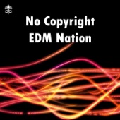 No Copyright EDM Nation artwork