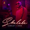 Skelebe (feat. Akon) - Single