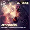 Pedogbepa (Hallex M & Sunlightsquare Remixes) - Single album lyrics, reviews, download