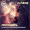 Pedogbepa - DJ Fudge lyrics
