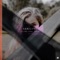 It's You (feat. Gavin) - Askling lyrics