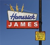Homesick James - Gotta Move