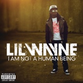 I Am Not a Human Being artwork