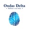Jardim Ingles - Musica Relaxante lyrics