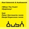 What the Funk (Peter Horrevorts Remix) - Roel Salemink & Audiowomb lyrics