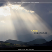 Orage de printemps - Fernand Deroussen