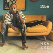 Nka Kre artwork