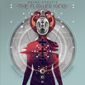 Roine Stolt's The Flower King - Lost America