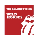 Wild Horses by The Rolling Stones
