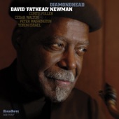 David "Fathead" Newman - Diamondhead (feat. Curtis Fuller & Cedar Walton)
