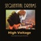 The Electric Monk (feat. Bernhard Beibl) - Sequential Dreams lyrics