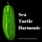 How You Remind Me - Sea Turtle Harmonic lyrics
