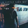 A Little Like Me - EP album lyrics, reviews, download