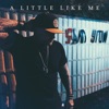 A Little Like Me - EP