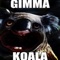 Koala - Gimma lyrics