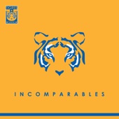 Somos Incomparables (Ella Dijo) [feat. Libres Y Lokos] artwork