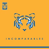 Incomparables, Vol. 1 artwork