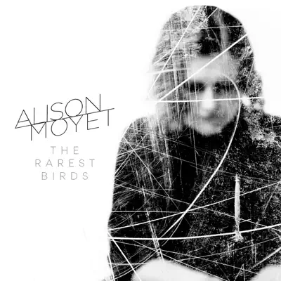 The Rarest Birds - Single - Alison Moyet