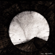 Red Dawn Tibesti - Dirge