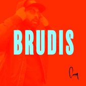 Brudis (Instrumental) artwork