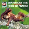 61: Superschlaue Tiere / Tricks der Pflanzen