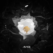 Avicii - What Would I Change It To (feat. AlunaGeorge)