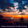 Chinese Shadow Play - Chinese Yang Qin Relaxation Man