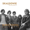 Bursztynowa Kolekcja - The Very Best of Skaldowie