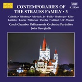 Contemporaries of the Strauss Family, Vol. 3 artwork