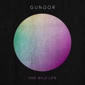 One Wild Life artwork