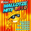 Mallotze Hits 2010