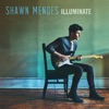 Shawn Mendes - Hold On
