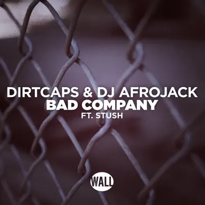 Bad Company (feat. Stush) - Single - Afrojack