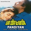 Mano & Chitra - Pandiayana Kokka