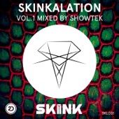 Skinkalation Vol. 1 (Mixed by Showtek) artwork