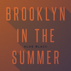 Brooklyn In the Summer - Single