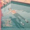 We Throw Parties, You Throw Knives (Remastered) - Los Campesinos! lyrics
