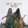 bajar descargar mp3 Wolf - First Aid Kit