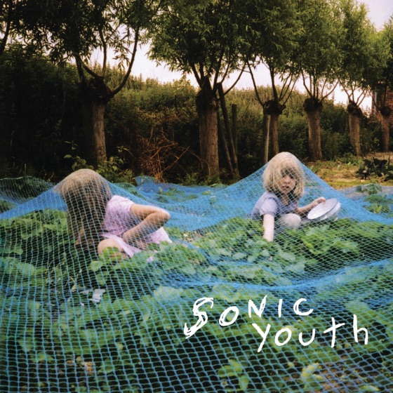 Cover artwork for Disconnection Notice
