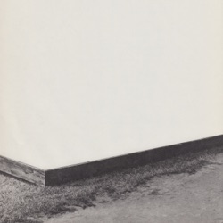 Willamette - At Length and Dead Horse