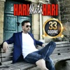 33 Godine artwork