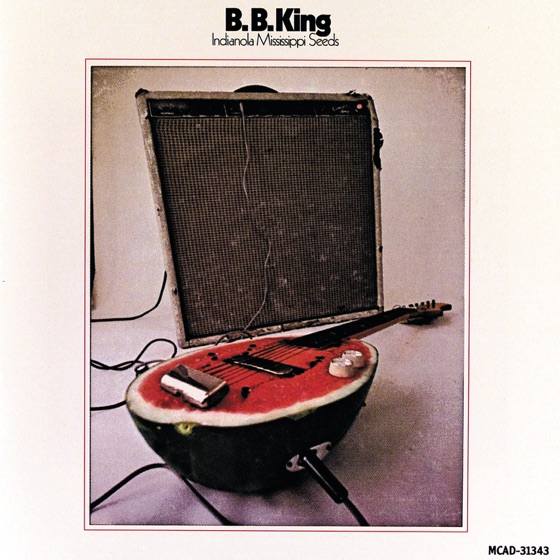 Cover artwork for Hummingbird