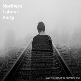 We Will Meet In Another Life By Northern Labour Party - 