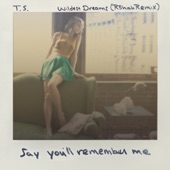 Wildest Dreams (R3hab Remix) artwork