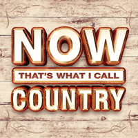 Various Artists - NOW That's What I Call Country artwork