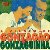Gonzaguinha - Respeita Januario (feat. Luiz Gonzaga)