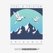 Eridanus (Elfenberg Remix) artwork