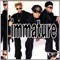 We Got It - Immature lyrics