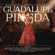 Medley Ranchero: El Cantador / Tristes Recuerdos (feat. Pepe Aguilar, Angela Aguilar & Leonardo Aguilar) - Guadalupe Pineda